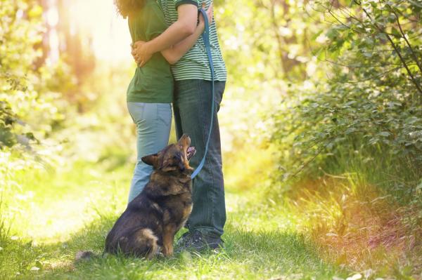8 ting hunden din vet om deg – elsk og hat skiller
