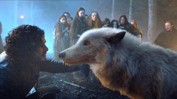 1640390016 317 Alt om ulvene til Game of Thrones