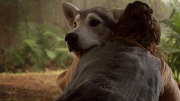 Alt om ulvene til Game of Thrones – Hva heter hundene i Game of Thrones?