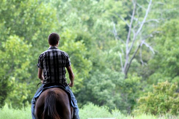 Typer hesteterapi - Profesjonelle innen hesteterapi