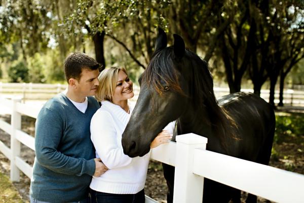 Typer av terapier med hester - Typer av terapier med hester
