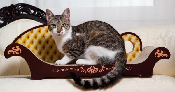 Kattemøbler - sjeselong for katter