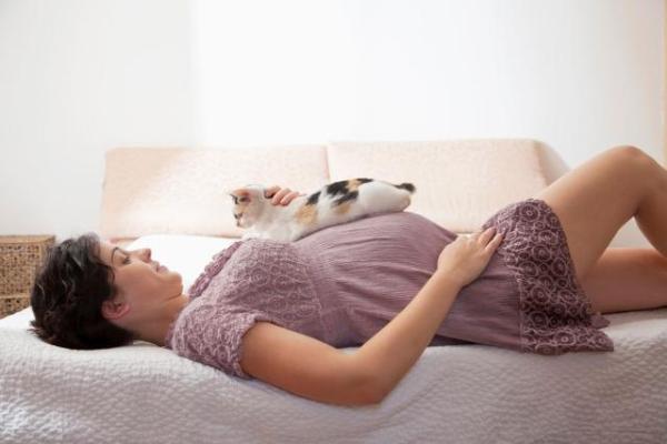 Er det ille å ha katter under graviditet?  - Konklusjoner