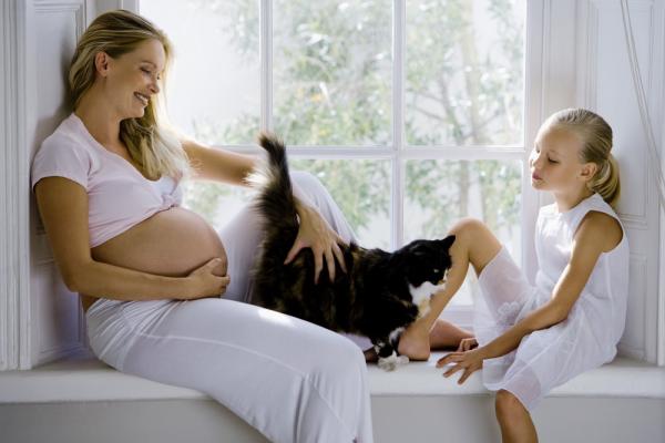 Er det ille å ha katter under graviditet?  – Toxoplasmose, den fryktede sykdommen