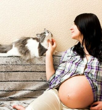 Er det ille a ha katter under graviditet