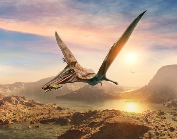 Typer flygende dinosaurer navn og bilder