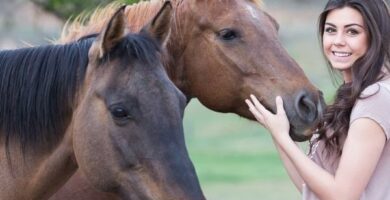 Typer terapi med hester