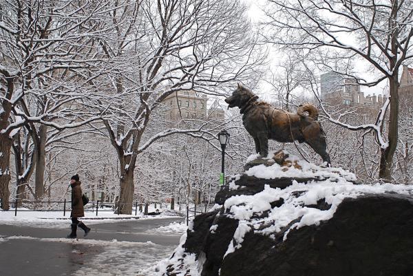 Historien om Balto, ulvehunden som ble en helt - Baltos statue i Central Park