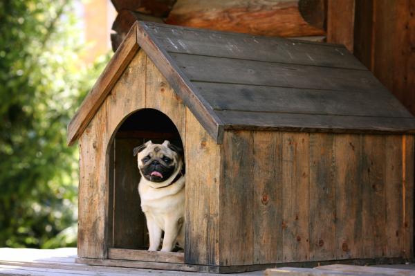 Tips for å velge hundehus - Materialer til hundehus