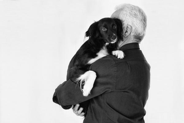 Hvordan viser hunder sin hengivenhet?  - 7. Bli med de du elsker når de er syke